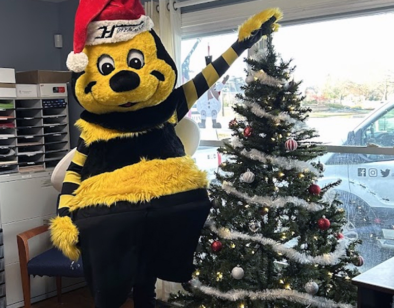 Hoffmans-Exterminating-In-Delaware-4