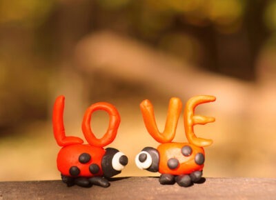 Love in the Wacky World of Bugs