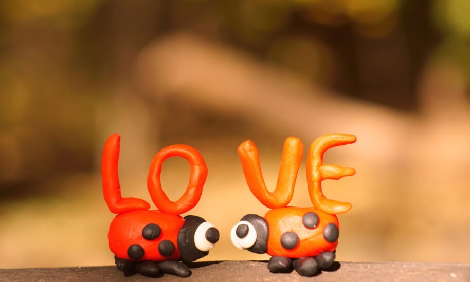 Love in the Wacky World of Bugs
