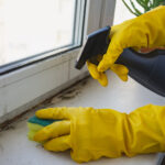 Make Pest-Proofing a Necessity During Spring Cleaning Routines