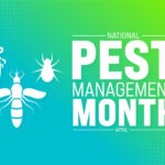 Practice Proper Pest Prevention During National Pest Management Month