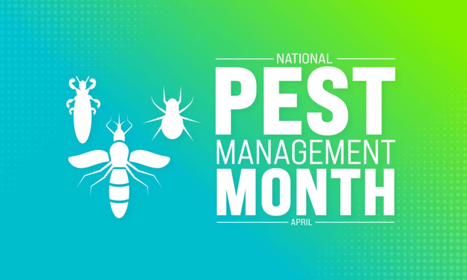 Practice Proper Pest Prevention During National Pest Management Month