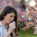 Safeguard The Home Against Pests To Prevent Allergies And Asthma