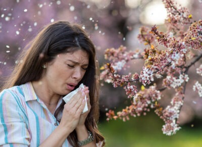 Safeguard The Home Against Pests To Prevent Allergies And Asthma
