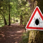 Ticks Pose Late Summer Health Threat