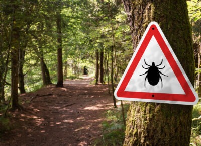 Ticks Pose Late Summer Health Threat