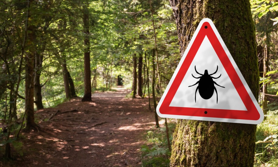 Ticks Pose Late Summer Health Threat