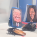 Kamala Harris Roach Wins Annual “Cockroach Derby”