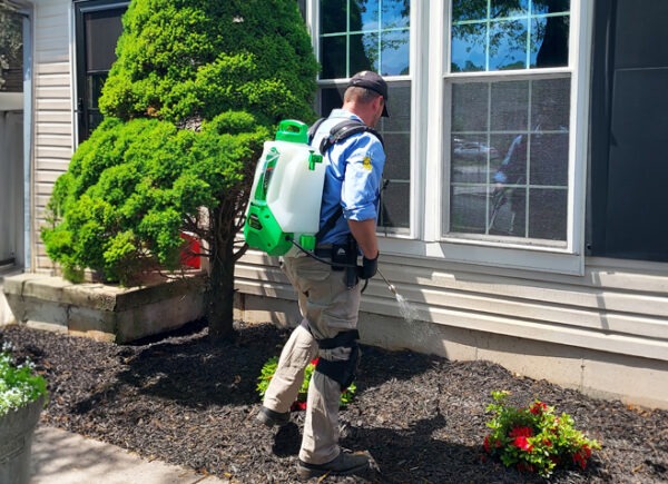 365-pest-services-600×435