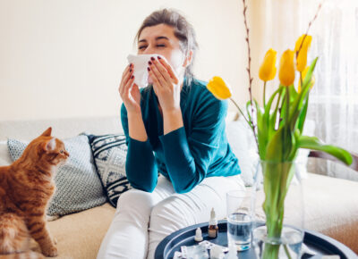 Cockroaches Linked To Increased Asthma And Allergy Attacks