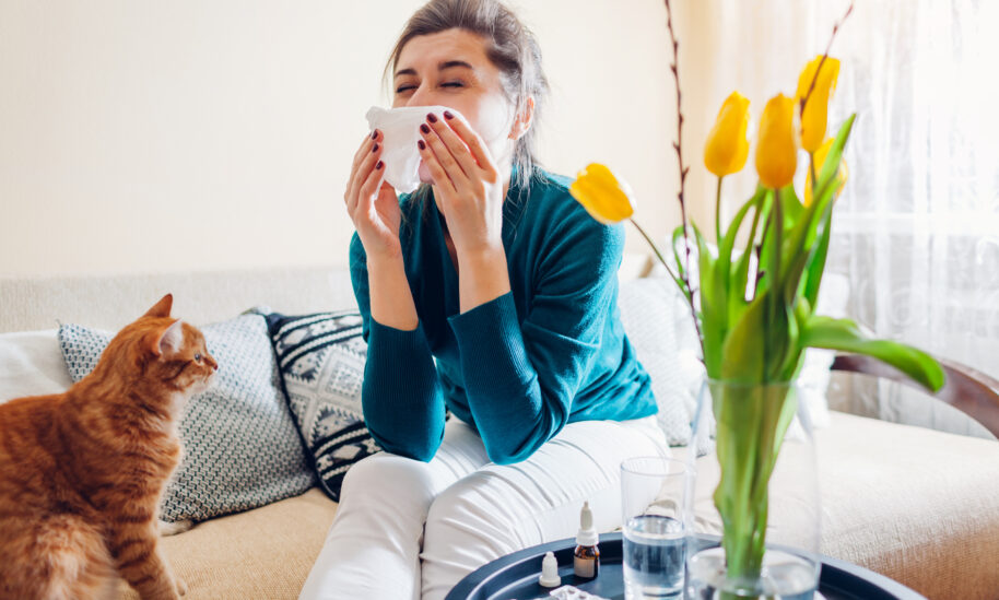 Cockroaches Linked To Increased Asthma And Allergy Attacks