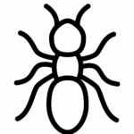 Icon Set-06