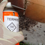 New Study Sheds Light on Termite Behavior and Treatment Effectiveness