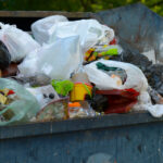 Poll Finds House and Blow Flies Top Dumpster Concerns