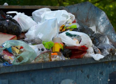 Poll Finds House and Blow Flies Top Dumpster Concerns