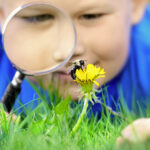Get Ready for Back-to-School Season with PestWorldForKids.org