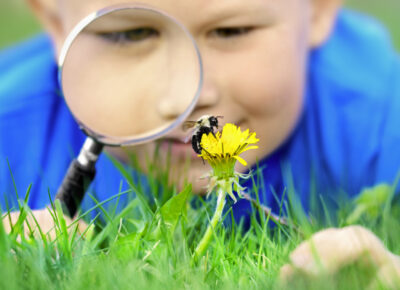 Get Ready for Back-to-School Season with PestWorldForKids 0821