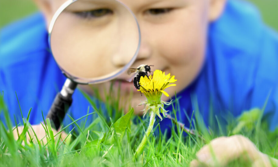 Get Ready for Back-to-School Season with PestWorldForKids 0821