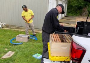 Exterminators in New Castle, DE 2