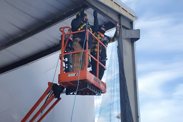 Wildlife Removal in South Jersey, PA, DE, & MD Wildlife Removal in South Jersey, PA, DE, & MD