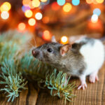 Have Yourself a Merry Little Pest-Free Holiday