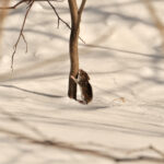 Keep Pests Outdoors Where They Belong This Winter