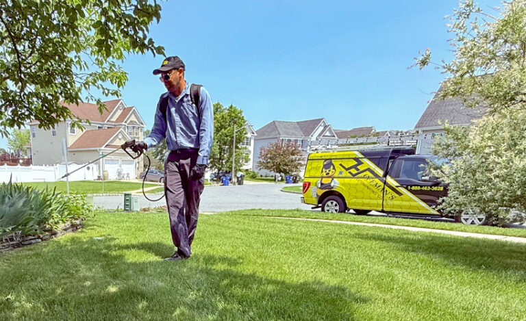 Exterminators in South Jersey, PA, DE, & MD
