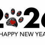 The Ultimate New Year’s Resolution for Homeowners