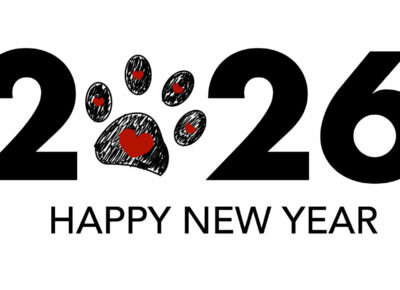 The Ultimate New Year’s Resolution for Homeowners