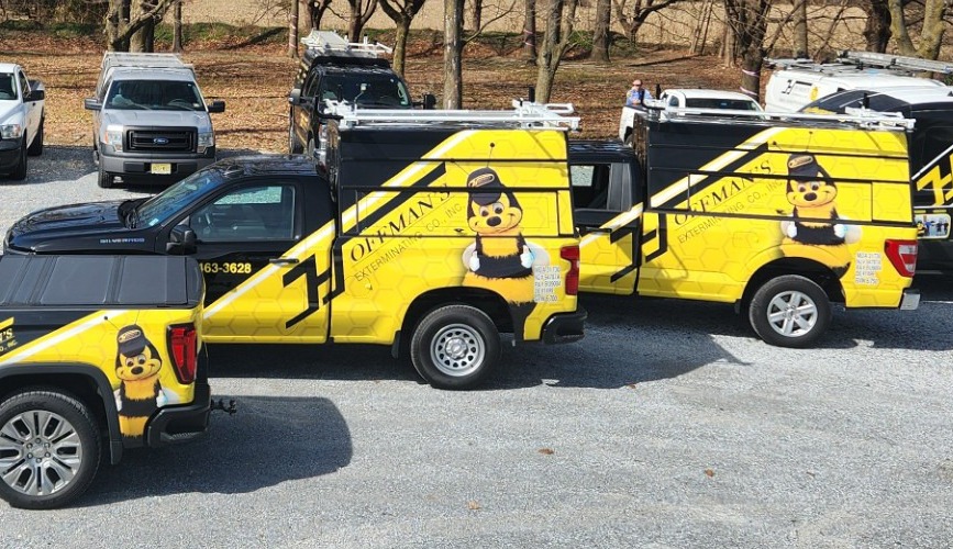 Exterminators in Absecon, NJ 2