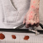 Don’t Let Bed Bugs Travel Home This Spring Break