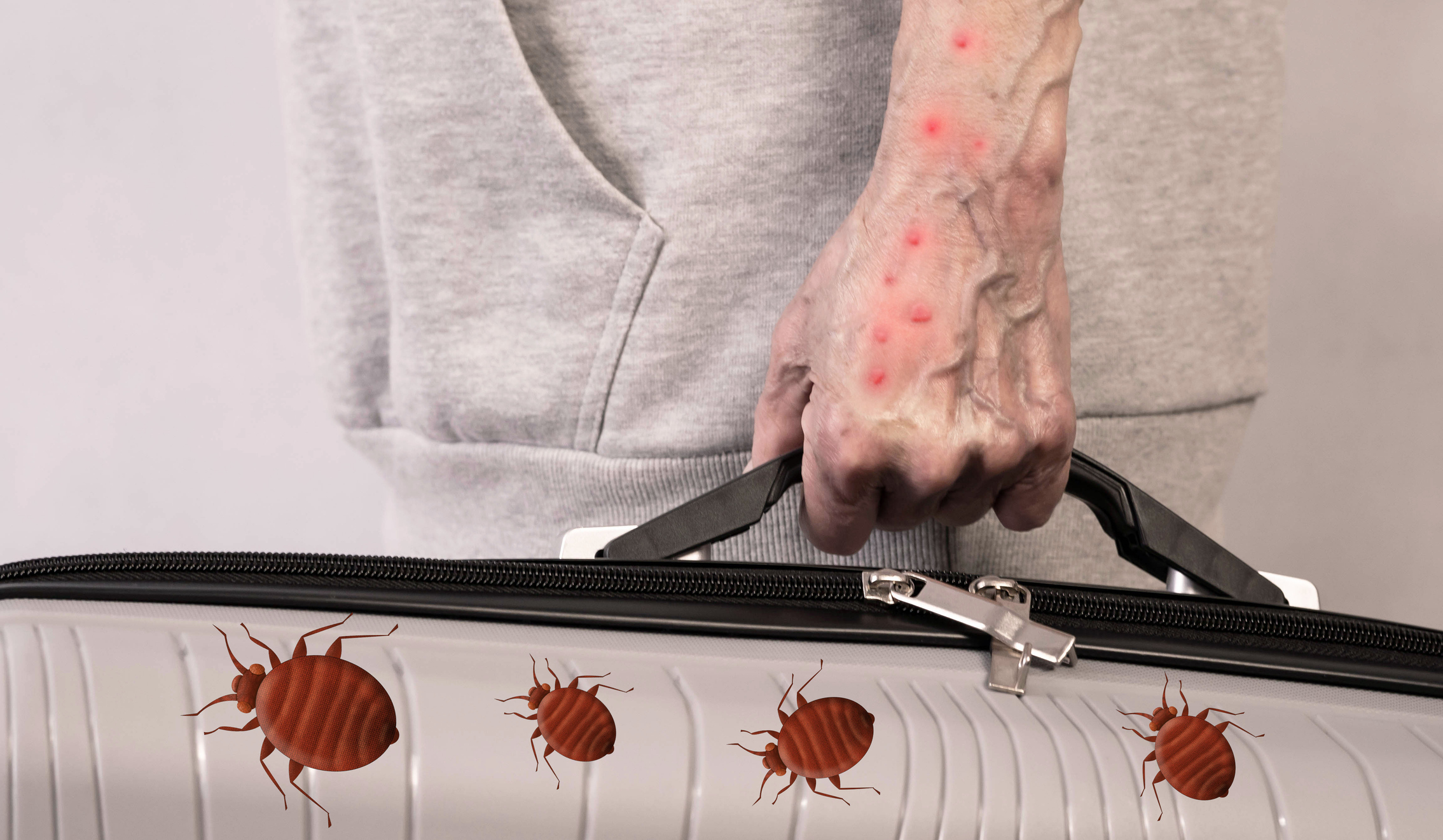 Don’t Let Bed Bugs Travel Home This Spring Break