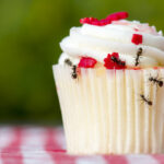 Backyard Barbecues Are More Enjoyable Without Unwanted Pests