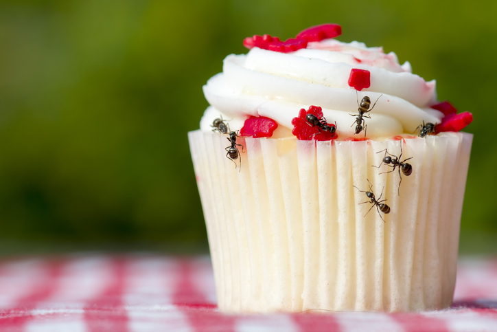 Backyard Barbecues Are More Enjoyable Without Unwanted Pests