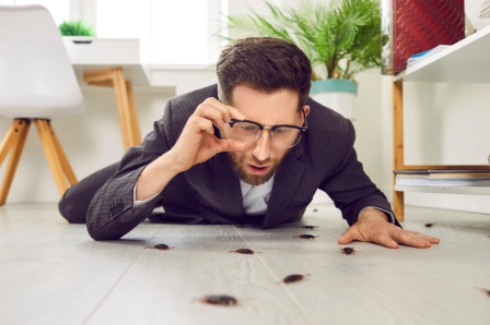 Bordentown Pest Control Services