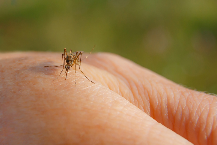 Protect Against Mosquitoes and West Nile Virus This Summer