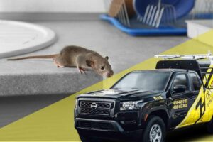 Exterminators Near Robbinsville, NJ