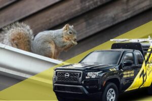 Hillsborough Pest Control Services
